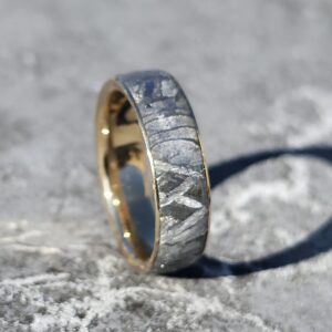 Bagues en Météorite, intérieur et bords en Or.